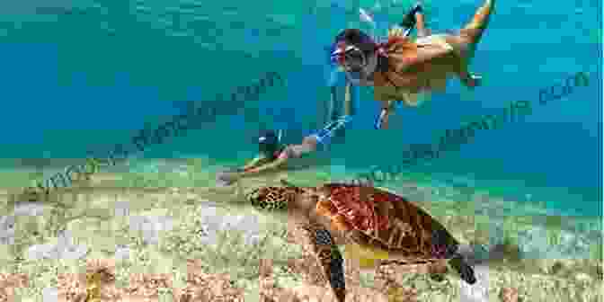 A Couple Snorkeling In A Caribbean Reef Jamaica: Island Culture Hotels Food Events Things To Do (Caribbean Travel 2)