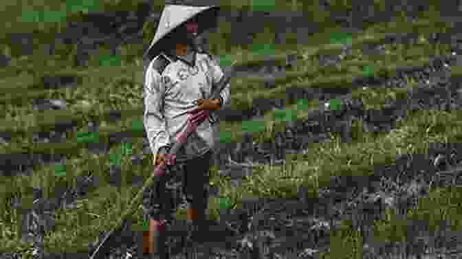 A Farmer Tending To His Field Magic Mountain (Images Of Modern America)