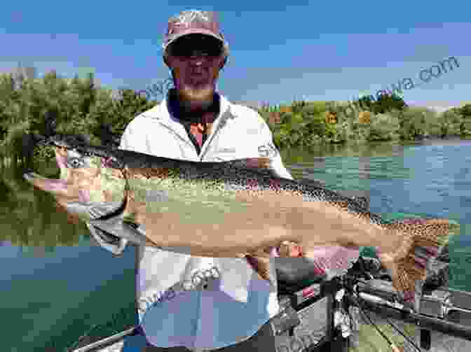 A Fisherman Landing A Large Salmon Tales Of The Angler S Eldorado: New Zeland