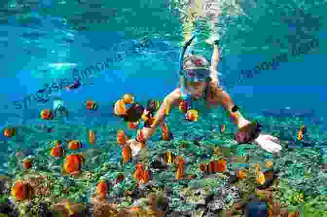 A Group Of Tourists Snorkeling In A Coral Reef, Surrounded By Colorful Marine Life Explore Maldives (Travel Guide 2024): Sightseeing Visa Food Stay Options Water Activities Covid 19 Rules Much More