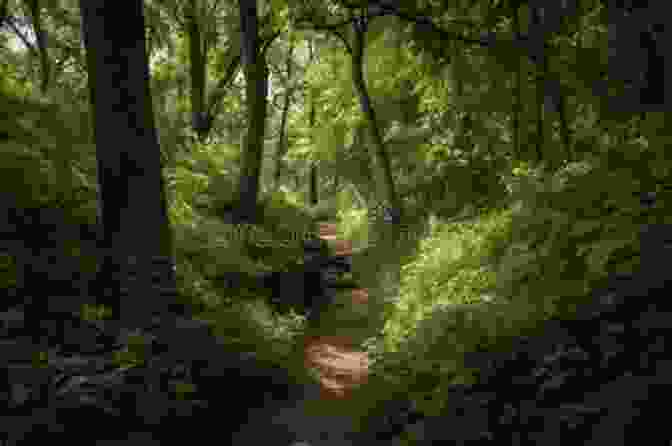 A Hiker Walking Along A Trail In A Tranquil Forest, Surrounded By Towering Trees Resurrection Of The Wild: Meditations On Ohio S Natural Landscape