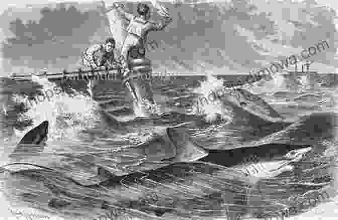 A Historical Engraving Depicting A Shark Attack On A Wooden Sailing Ship News Accounts Of Shark Attacks