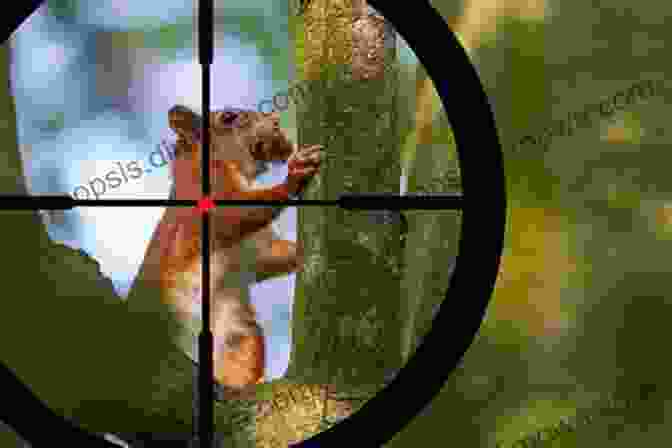 A Hunter Taking Aim At A Squirrel In A Tree Squirrel Hunting Made Simple: 21 Steps To Squirrel Hunting Success