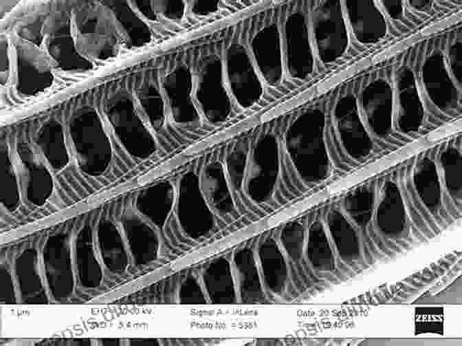 A Microscopic Image Of A Nanostructure Nanostructures: Theory And Modeling (NanoScience And Technology)