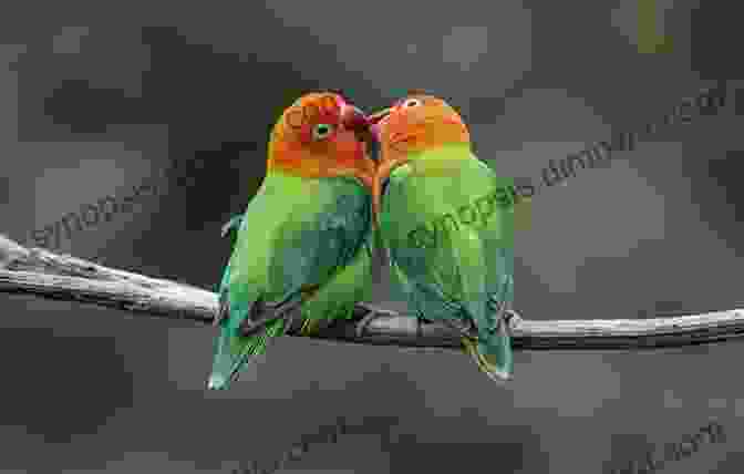 A Pair Of Parrots Perched On A Branch, Their Vibrant Feathers Glistening In The Sunlight AVITOPIA Birds Of Dominica