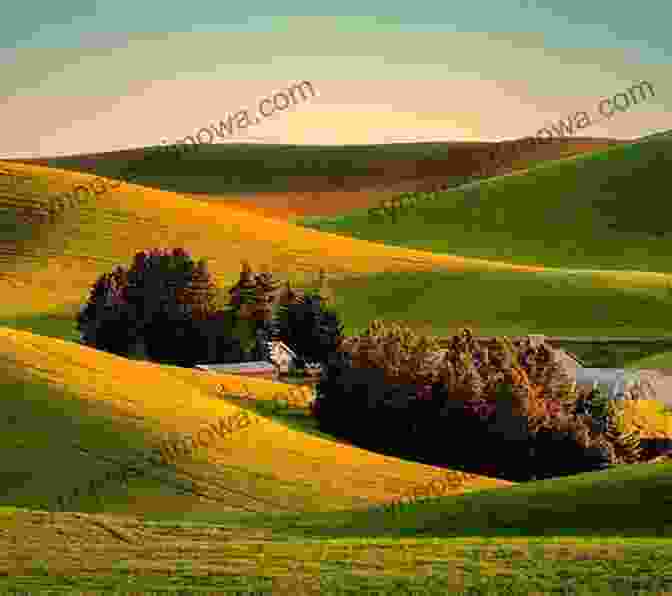 A Panoramic View Of Rolling Hills And Lush Meadows Bathed In Golden Sunlight. Shire Summer Philippe Nessmann