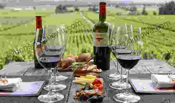 A Plate Of Gourmet Food And Glasses Of Wine In Sonoma County Frommer S Napa And Sonoma Day By Day