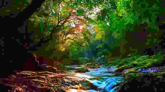 A Serene River Flowing Through A Vibrant Forest, Symbolizing The Interconnectedness Of Nature And The Profound Wisdom It Holds For Those Who Seek It. The River Why David James Duncan