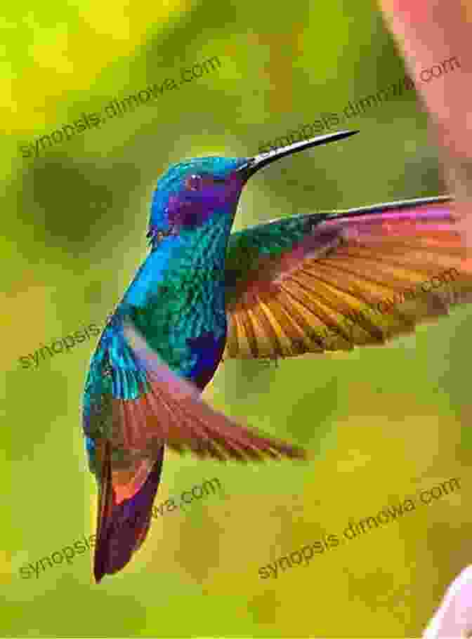 A Stunning Photograph Of A Hummingbird In Flight, Its Wings A Blur Of Motion AVITOPIA Birds Of Dominica