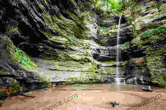 A Stunning View Of The Mississippi River Canyon From Atop Starved Rock, With Lush Greenery Carpeting The Cliffs Exploring Nature In Illinois: A Field Guide To The Prairie State