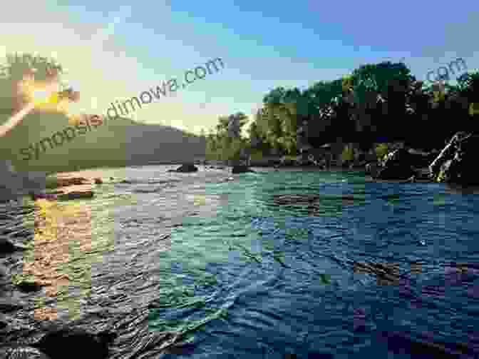 A Tranquil View Of The South Fork American River Trail, Leading Through Lush Forests And Along The Riverbanks. Top Trails: Sacramento: Must Do Hikes For Everyone