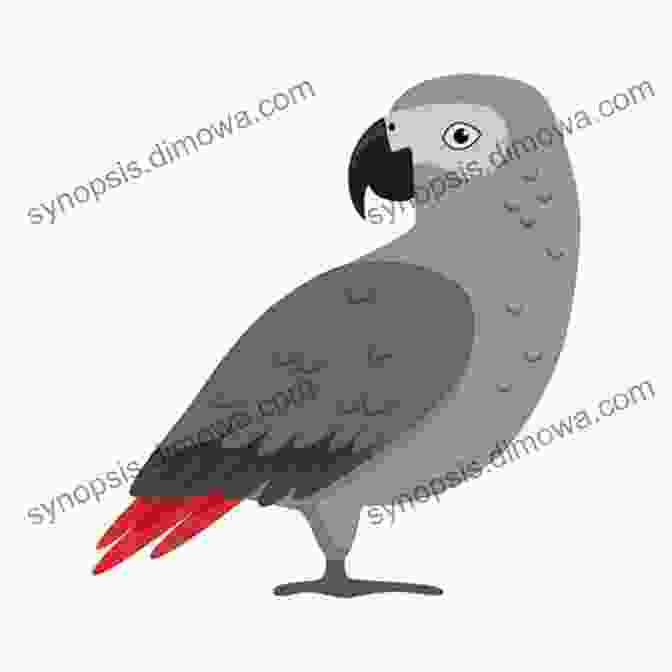 A Vibrant Illustration Of A Majestic African Grey Parrot With Its Striking Grey Plumage And Inquisitive Gaze AVITOPIA Birds Of Guinea Bissau