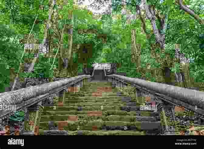 A Winding Path Leading Up To A Hilltop Temple 20 Things To Do In Shimla (20 Things (Discover India) 6)