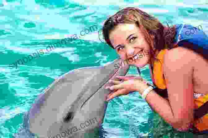 A Woman Interacting With A Dolphin The Horse S Algorithm: An Essay On Interspecies Communication