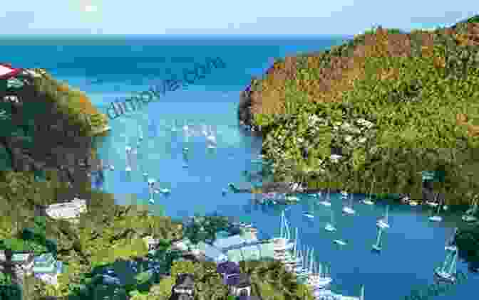 Aerial View Of The Property And Marigot Bay The Treehouse Garden Studio: Discover A Natural Paradise Perched On A Cliff In Marigot Bay Saint Lucia West Indies