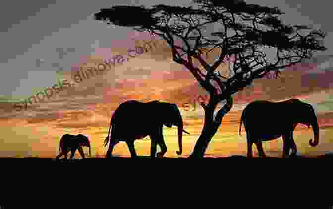 African Savanna Landscape With Elephants An Elephant At My Door: On Safari In Africa