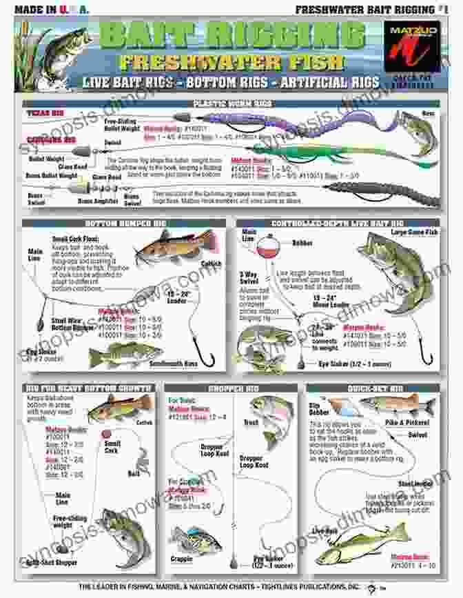 An Illustration Showcasing Different Freshwater Fishing Techniques. Basic Illustrated Freshwater Fishing (Basic Illustrated Series)