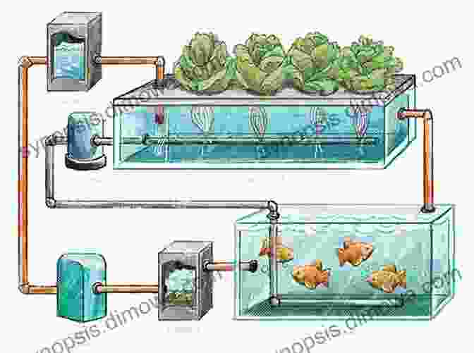 Aquaculture And Aquaponics Systems Diagram Aquaponics: (2 In 1 Set) An To Aquaculture An To Aquaponic Gardening (aquaculture Fish Farming Hydroponics Tilapia Indoor Garden Aquaponics System Fisheries)