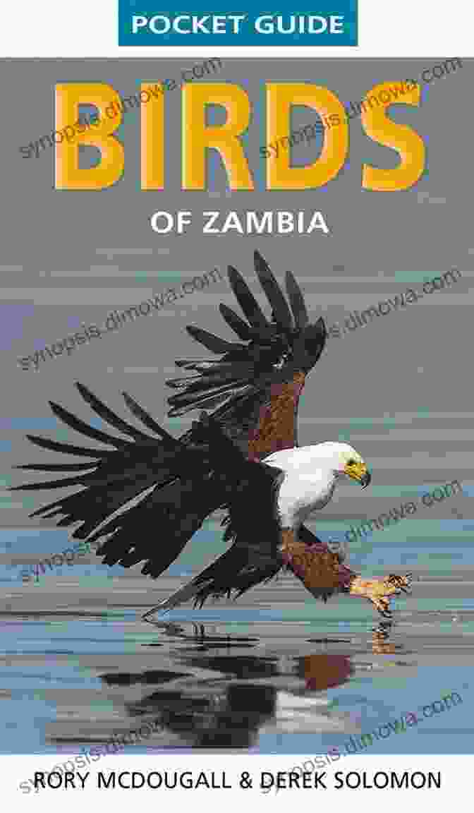 Avitopia: Birds Of Zambia Book Cover AVITOPIA Birds Of Zambia