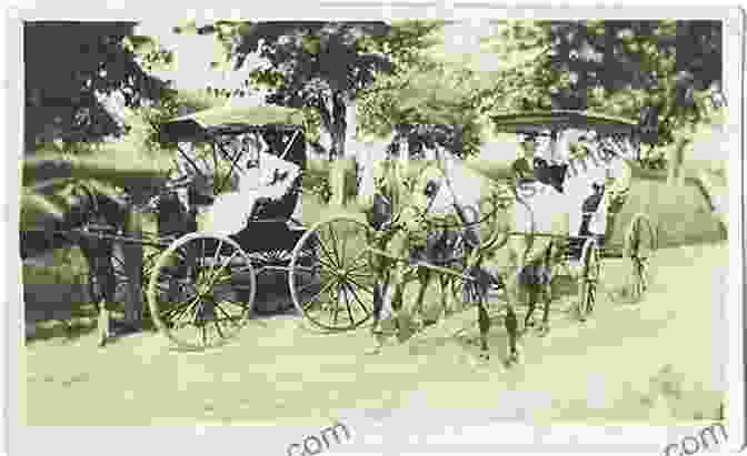 Black And White Photo Of A Horse Drawn Carriage In Stanley Park In The Early 1900s The Patron Saint Of Stanley Park