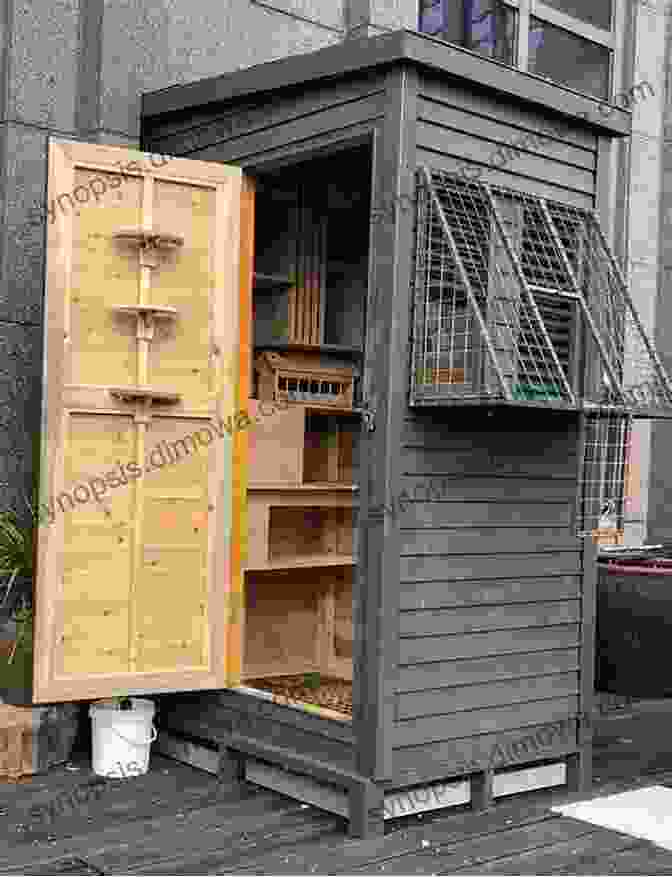 Choosing The Right Materials For Your Pigeon Loft Is Essential For Durability And Comfort. Racing Pigeon Loft Construction Plans: Pigeon Avairy