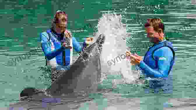 Couple Interacting With Dolphins The Perfect Pair: Shards From The Mirror: Shards From The Mirror (The Perfect Pair Dolphin Trilogy 3)