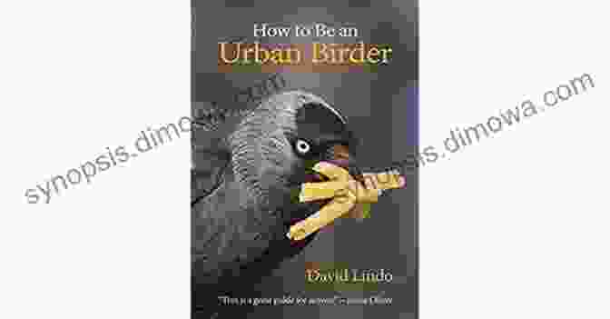 Cover Of 'How To Be An Urban Birder: Wildguides 33' How To Be An Urban Birder (WILDGuides 33)