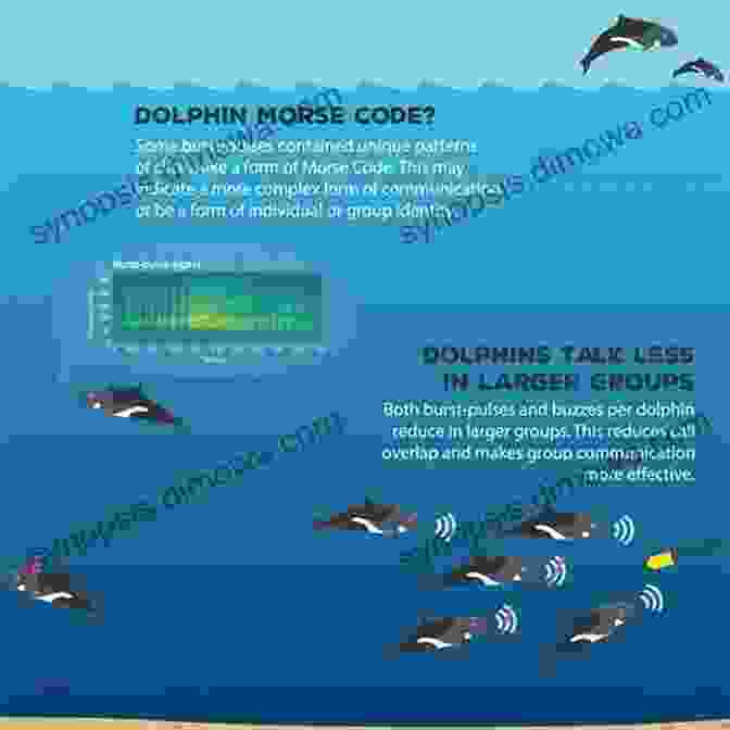 Dolphins Communicating Through Complex Vocalizations The Perfect Pair: Shards From The Mirror: Shards From The Mirror (The Perfect Pair Dolphin Trilogy 3)