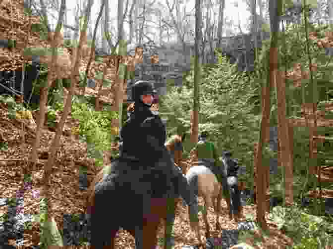 Equestrian Enjoying A Leisurely Trail Ride Amidst A Picturesque Landscape Dressage In Harmony: From Basic To Grand Prix (Masters Of Horsemanship 4)