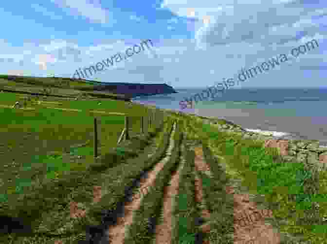 Hikers Walking Along The Cleveland Way, Surrounded By Stunning Coastal Scenery The Little Of The Yorkshire Coast From A To Z: A Lower Priced Alternative To The Extended Version Minus The 50 Interactive Maps (David Leslie S A To Z Guides 1)