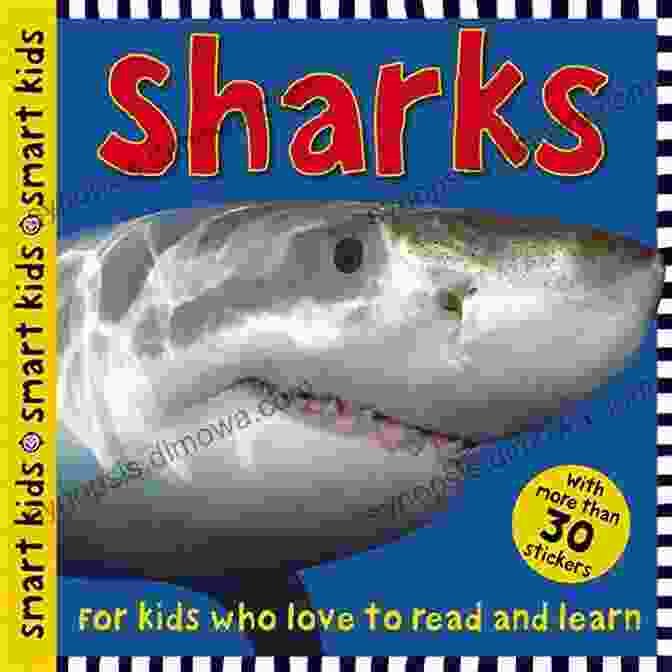 Let Learn Sharks Book Cover By David Gough Let S Learn: Sharks David Gough