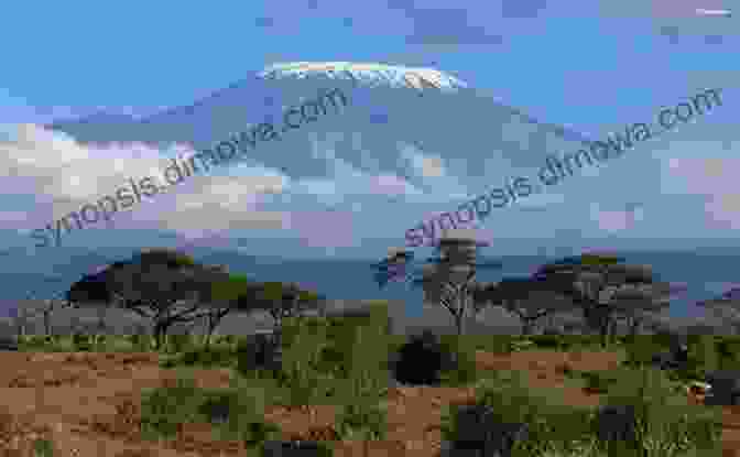 Majestic Mount Kilimanjaro, A Beacon Of Wonder And Transformation Kilimanjaro Uncovered: An Alternative Path To Bliss