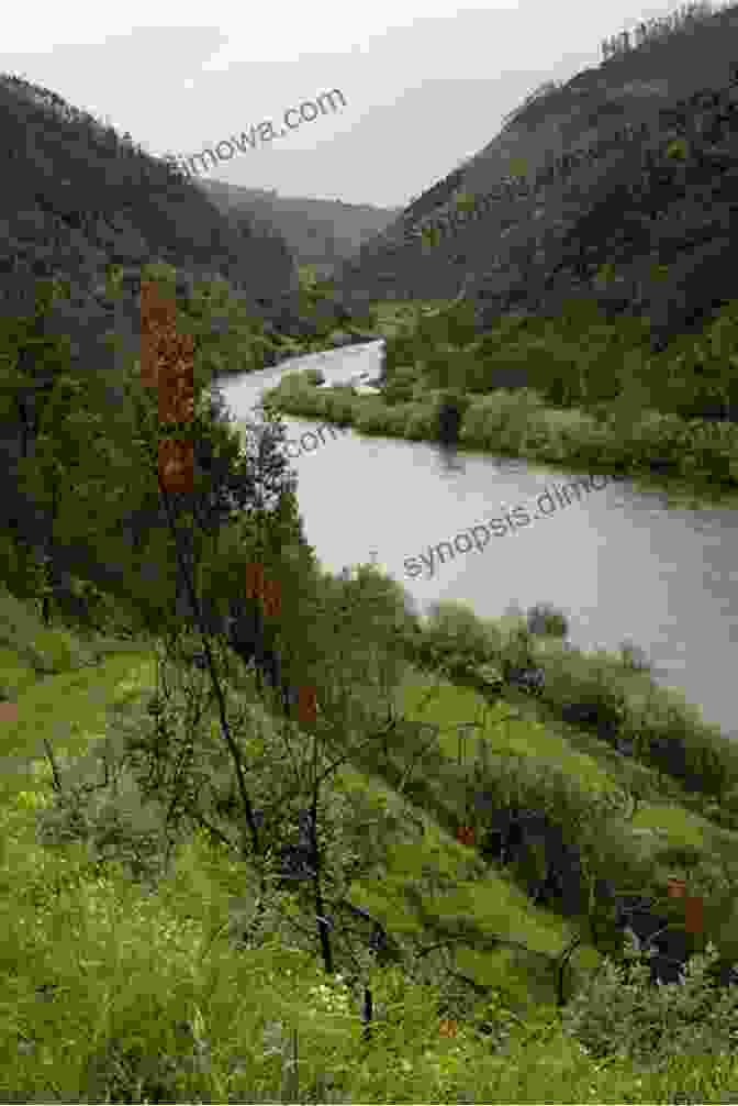 Mondego River, A Scenic Waterway That Flows Through The Heart Of Coimbra What To Visit In Coimbra (Portugal With A Native)