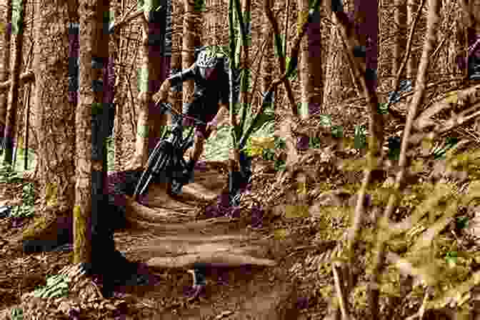 Mountain Bikers Riding On A Trail In The Forest Mountain Biking Moab: More Than 40 Of The Area S Greatest Off Road Bicycle Rides (Regional Mountain Biking Series)