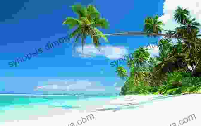 Palm Fringed Beach In A Tropical Paradise Claim Your Dream Life: How To Retire In Paradise On A Shoestring Budget