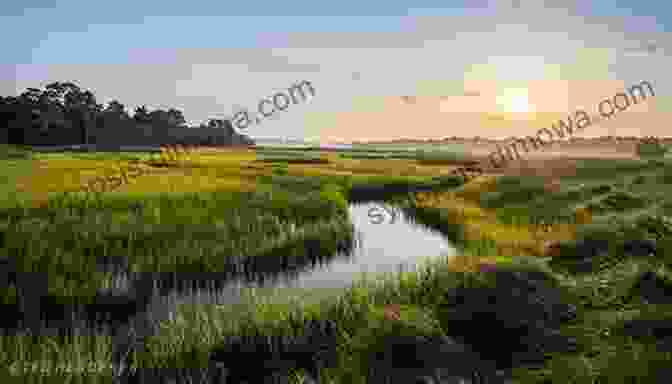 Panoramic View Of A Coastal Landscape With Beach, Marsh, And Distant Marsh. American Auto Trail South Carolina S U S Highway 17 (American Auto Trails)