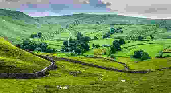 Panoramic View Of The Picturesque Yorkshire Dales, Featuring Verdant Hills And Grazing Sheep. Yorkshire In Photographs Marek Strzala