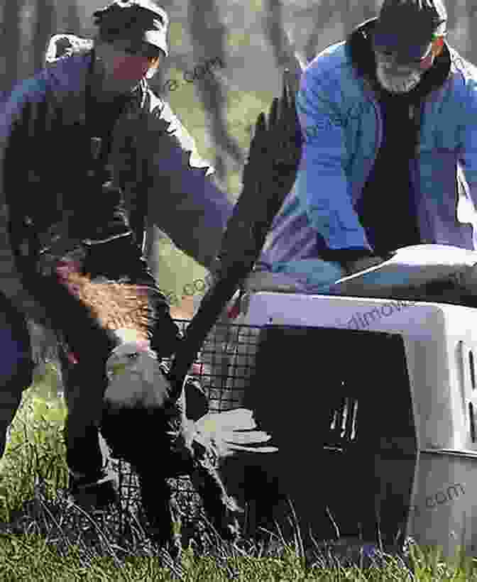 Photograph Of A Group Of Volunteers Releasing Rehabilitated Birds Into The Wild AVITOPIA Birds Of Suriname