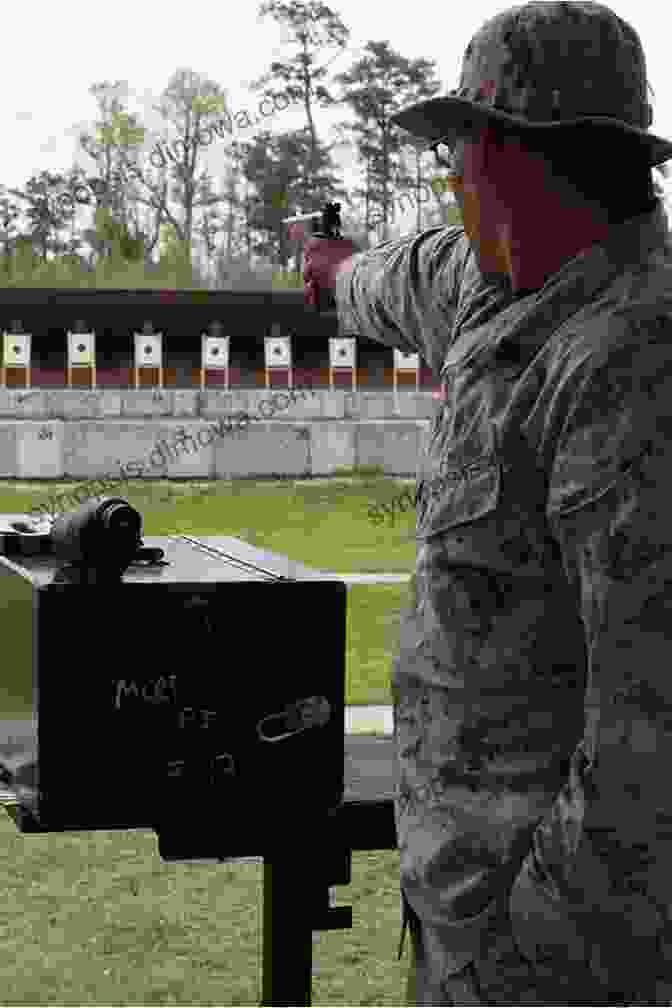 Shooters Competing In A Match At The Creedmoor Range The Story Of Creedmoor: The Irish ~ American Rifle Match Of 1874