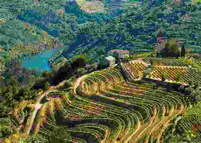 The Douro Valley, A UNESCO World Heritage Site And Home To Omonolidee Morgado Omonolidee Morgado Portugal 2024 David E Gates