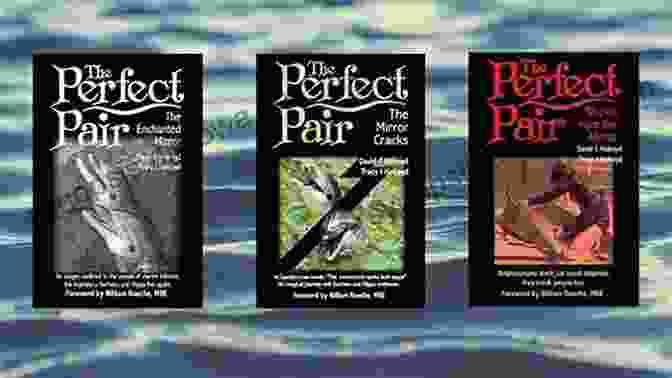 The Enchanted Mirror: The Perfect Pair Dolphin Trilogy Book Cover Featuring A Stunning Underwater Scene With Dolphins And An Enchanting Mirror The Perfect Pair: The Enchanted Mirror: The Enchanted Mirror (The Perfect Pair Dolphin Trilogy 1)