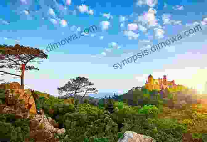 The Picturesque Sintra Cascais National Park Lisbon Travel Photo : A Perfect Accompaniment To Your Lisbon Travel Guide (Travel And Nature Photo Books)