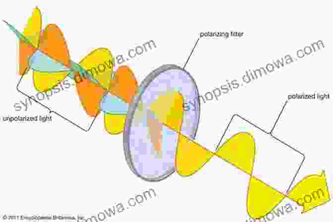 Types Of Polarization Polarized Light In Optics And Spectroscopy