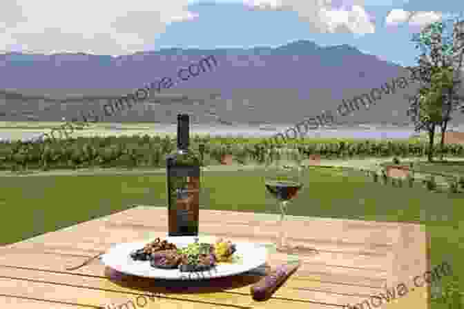 Wine Tasting In Mendoza, Argentina Discover Argentina Giuseppe Ricci