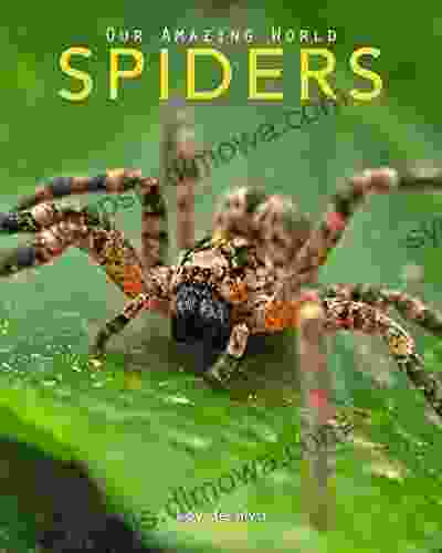 Spiders: Amazing Pictures Fun Facts on Animals in Nature (Our Amazing World 7)