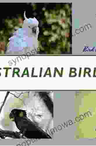 AVITOPIA Birds of Australia