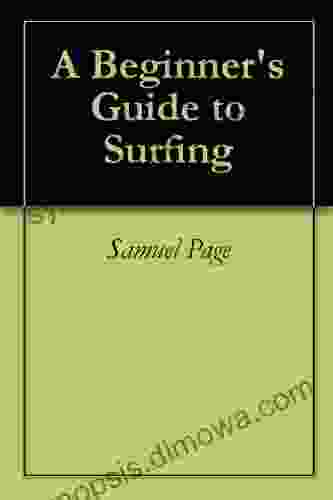 A Beginner S Guide To Surfing