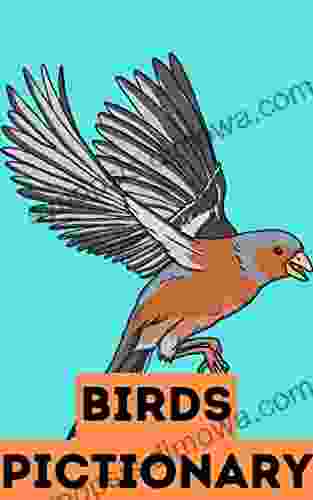 Birds Pictionary For Kids Adults January 2024 Book: PART 95