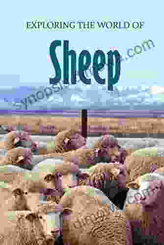 Exploring The World Of Sheep: Educational Animals For Kids