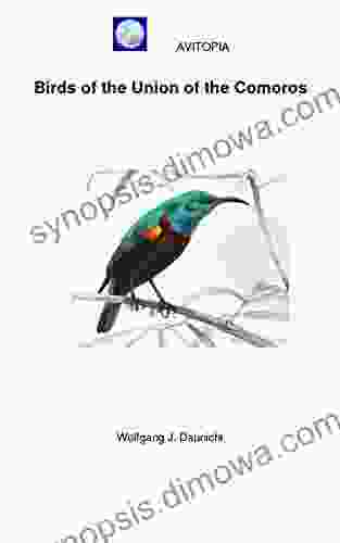 AVITOPIA Birds Of The Union Of The Comoros